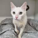 Photo of Snowy