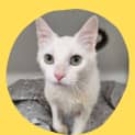 Photo of Snowy