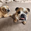 Photo of Esther (And May)