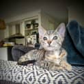 Photo of Dora
