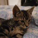 Photo of Lennie