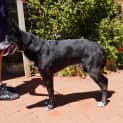 Photo of Vader