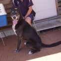 Photo of Vader