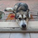 Photo of Ganteng