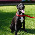 Photo of Dolly