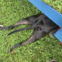 Photo of Janie