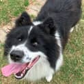Photo of Sprout 