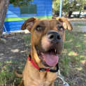 Photo of Trevor