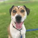 Photo of Harley