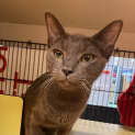 Photo of Minou
