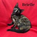 Photo of Brielle