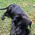 Photo of Rudy