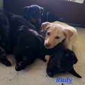 Photo of Rudy