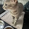 Photo of Edwina 