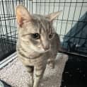 Photo of Edwina 
