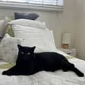 Photo of Tia