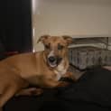 Photo of Sookie