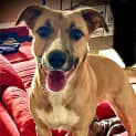 Photo of Sookie