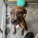 Photo of Maggie