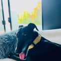 Photo of Emmy Lou