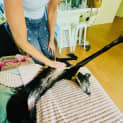 Photo of Emmy Lou