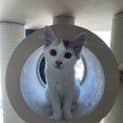 Photo of Olivia