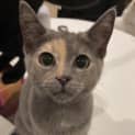 Photo of Mabel