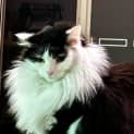 Photo of Indra