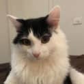 Photo of Indra