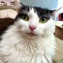 Photo of Indra