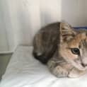 Photo of Bonnie