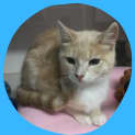 Photo of Clyde