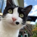 Photo of Meredith
