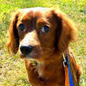 Photo of Reggie
