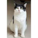 Photo of 9714   Ned