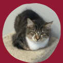 Photo of Rosalind 