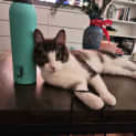 Photo of Sebastien