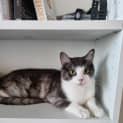 Photo of Sebastien