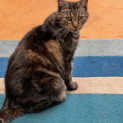 Photo of Molly