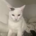 Photo of Sammy