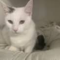 Photo of Sammy