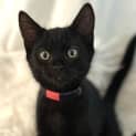 Photo of Toast