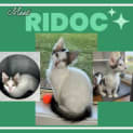 Photo of Ridoc