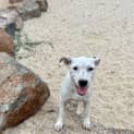 Photo of Jenny