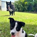 Photo of Bessie