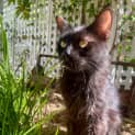 Photo of Muriel 