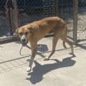 Photo of Bentleigh