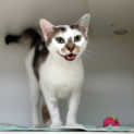 Photo of Dorothy