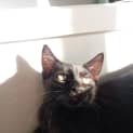 Photo of Matilda