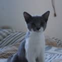 Photo of Dil